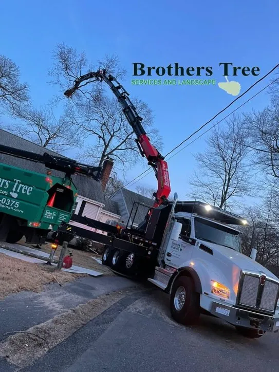 Custom yard maintenance in Weymouth, MA by Brothers Tree Service and Landscape