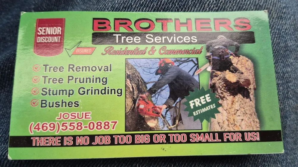 Reliable landscape design for year-round maintenance in Dallas, TX by Brother's Tree Service