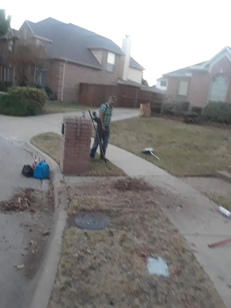 Affordable landscaping services with custom design in Dallas, TX by Brother's Tree Service