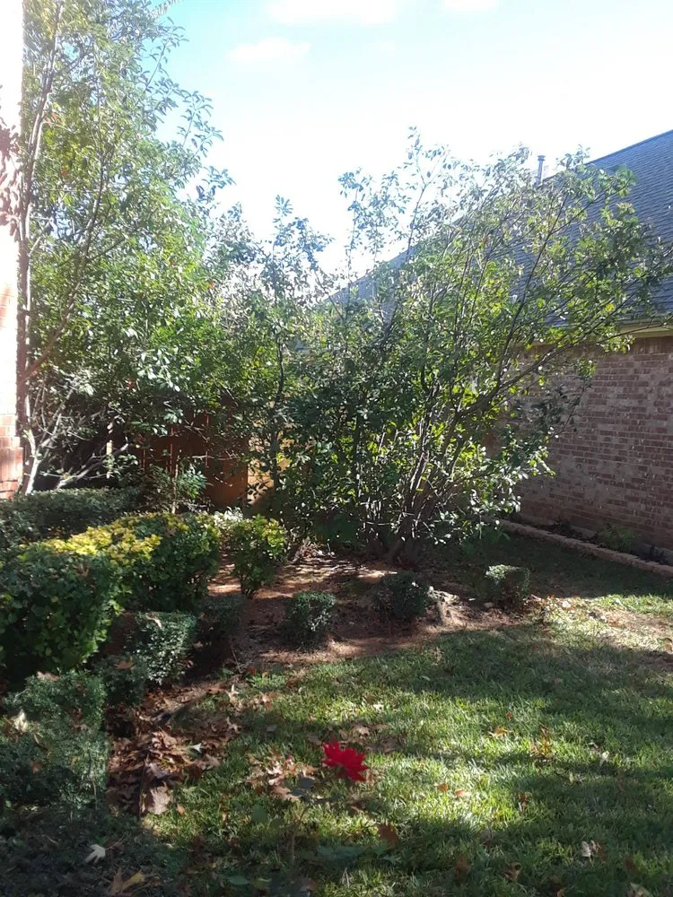 Reliable lawn care service for homes in Dallas, TX by Brother's Tree Service