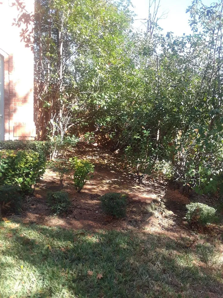 Custom lawn mowing service in Dallas, TX by Brother's Tree Service