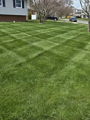 Brothers VR Lawn Crew Logo