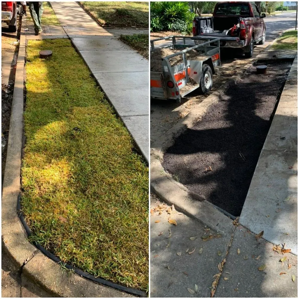 Local yard maintenance for outdoor upgrades across New Orleans, LA - BrothersNlawn