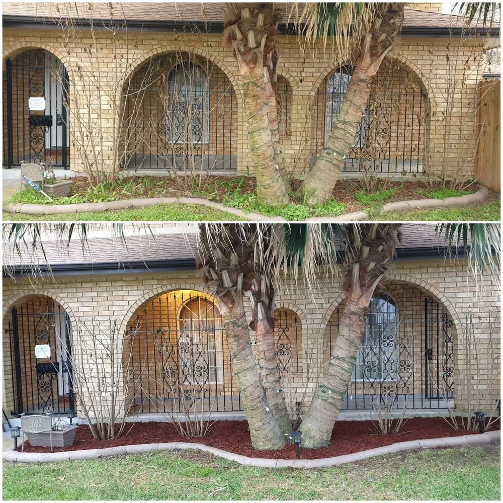 Top-rated landscaping services in New Orleans, LA - BrothersNlawn