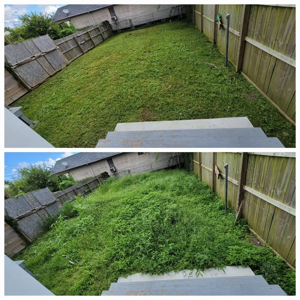 Local residential landscaping in New Orleans, LA by BrothersNlawn