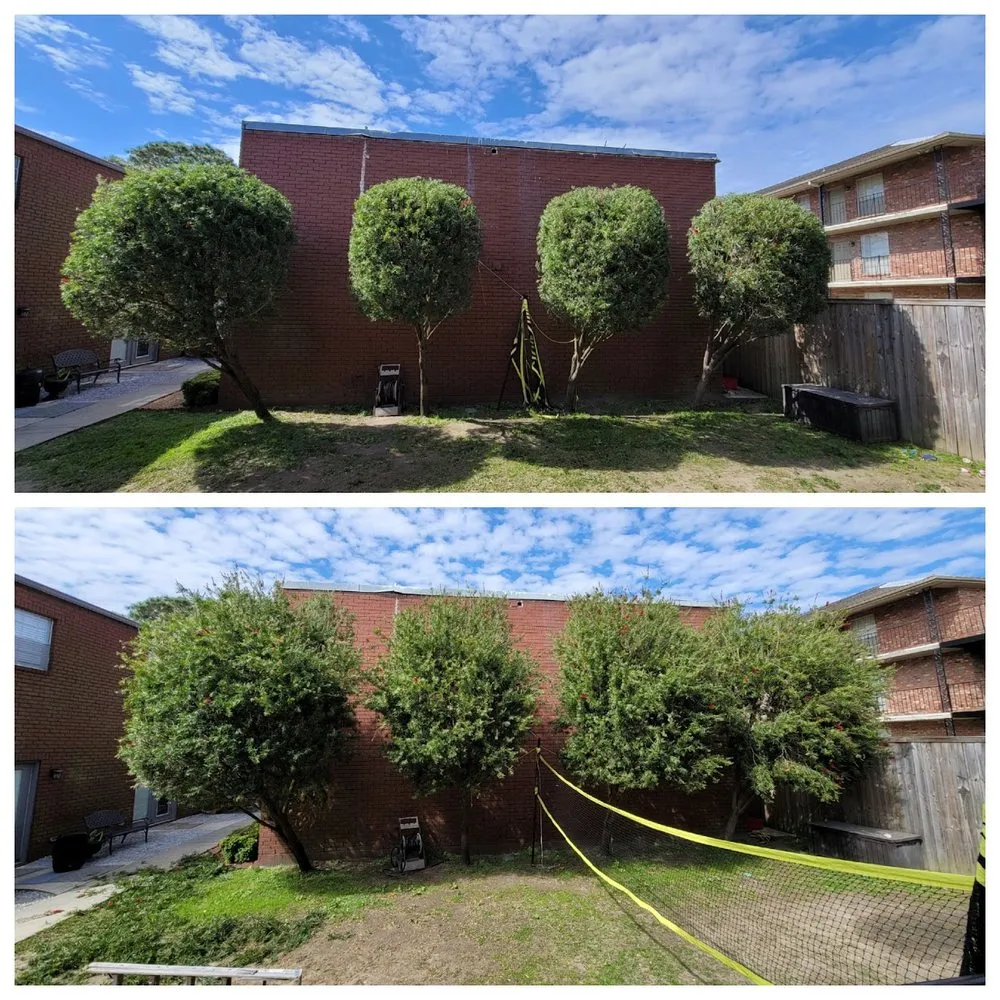 Expert yard maintenance for homes across New Orleans, LA - BrothersNlawn