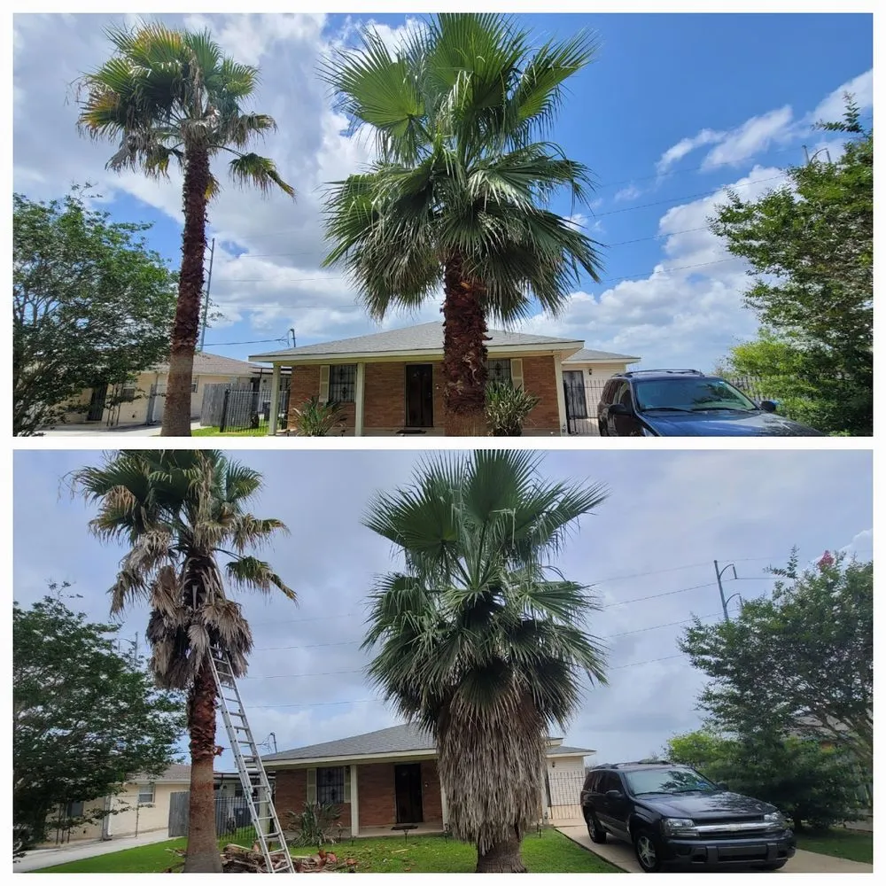 Reliable lawn care service in New Orleans, LA by BrothersNlawn