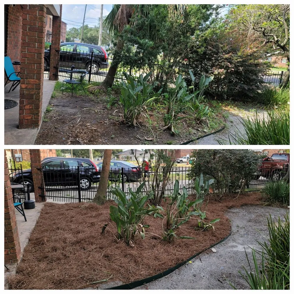 Professional yard maintenance experts serving New Orleans, LA - BrothersNlawn