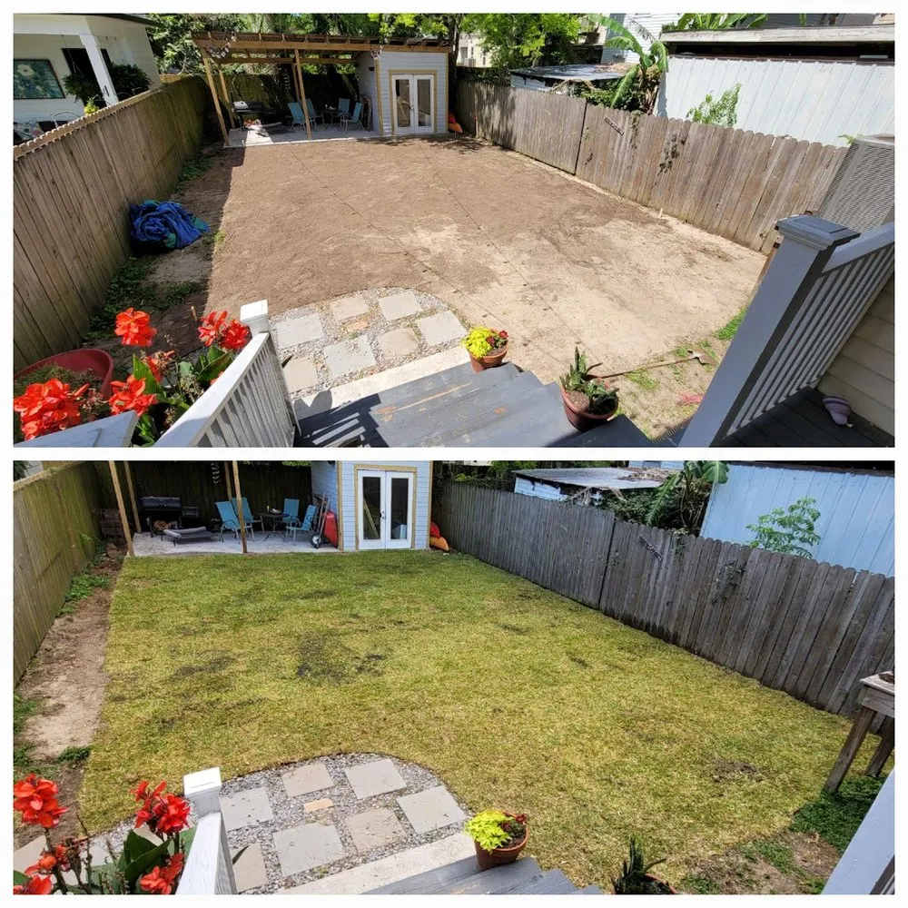 Trusted yard maintenance in New Orleans, LA - BrothersNlawn