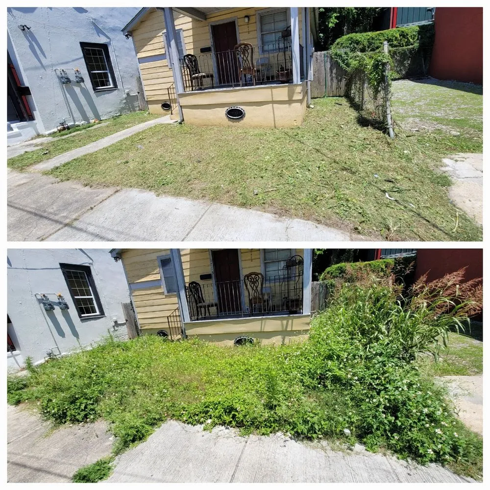 Top-rated yard maintenance with custom design in New Orleans, LA by BrothersNlawn
