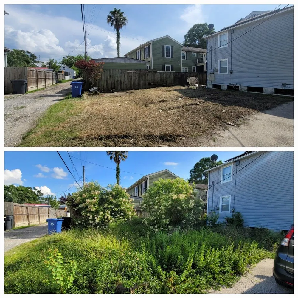 Local residential landscaping in New Orleans, LA - BrothersNlawn
