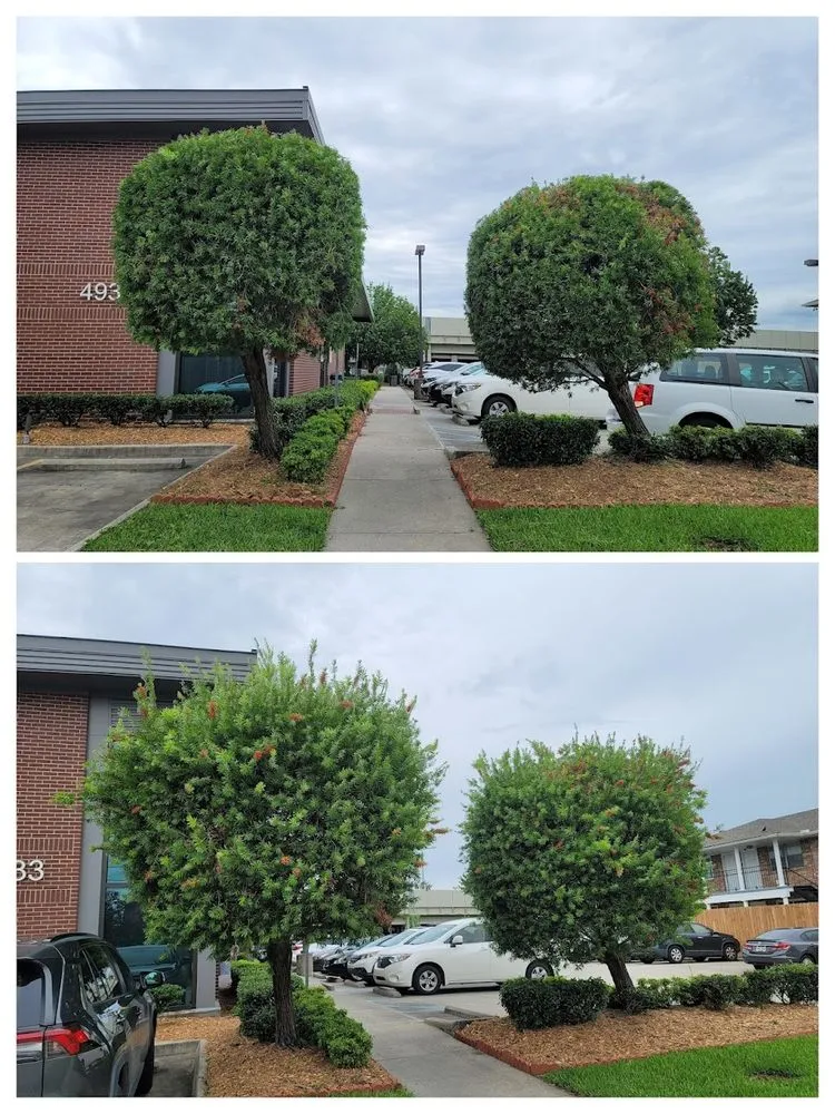 Professional outdoor landscaping for homes in New Orleans, LA by BrothersNlawn