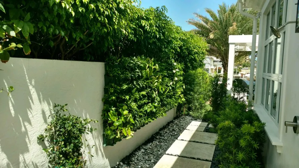 Custom lawn mowing service experts serving Coral Springs, FL - Broward Landscape