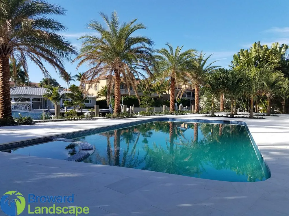 Affordable yard maintenance for beautiful yards in Coral Springs, FL by Broward Landscape