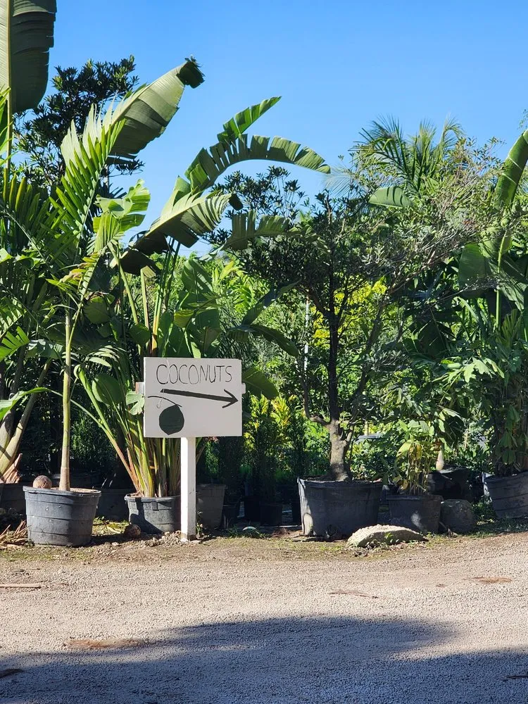 Expert landscape design near you across Davie, FL - Broward Palms