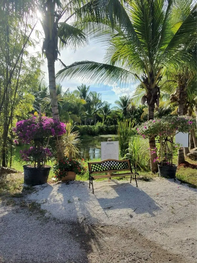 Trusted landscape design for year-round maintenance across Davie, FL - Broward Palms