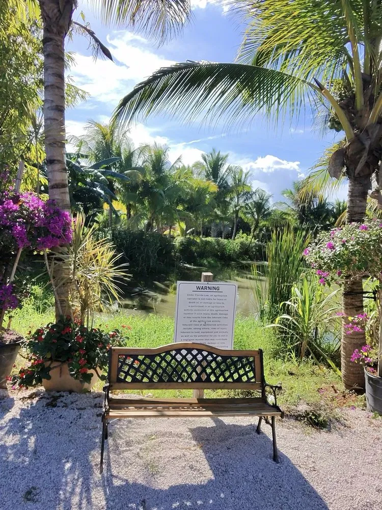 Expert landscape installation for beautiful yards in Davie, FL by Broward Palms