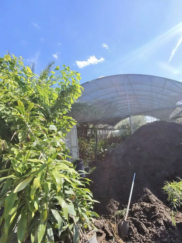 Professional yard cleanup service for beautiful yards across Davie, FL - Broward Palms