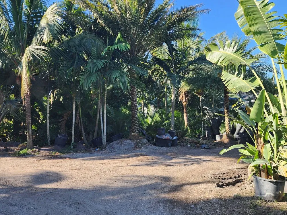 Custom outdoor landscaping experts serving Davie, FL - Broward Palms