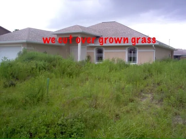 Expert garden landscaping experts serving Fort Lauderdale, FL - Broward Services