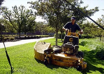 Trusted garden landscaping in Fort Lauderdale, FL by Broward Services