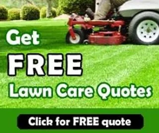 Reliable yard maintenance for beautiful yards across Fort Lauderdale, FL - Broward Services