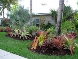 Trusted yard cleanup service experts serving Fort Lauderdale, FL - Broward Services