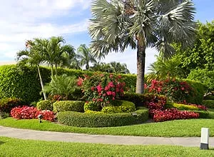 Reliable residential landscaping in Fort Lauderdale, FL - Broward Services