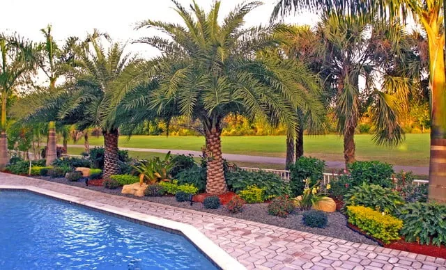 Professional landscaping services for residential properties in Fort Lauderdale, FL by Broward Services