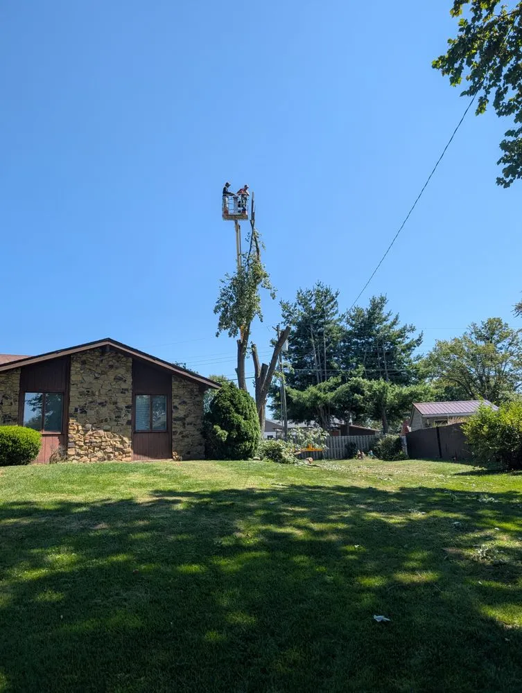 Affordable yard maintenance for outdoor upgrades in Columbus, IN by Browder Landscaping & Tree Services