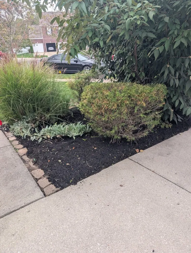 Reliable landscape design experts serving Columbus, IN - Browder Landscaping & Tree Services