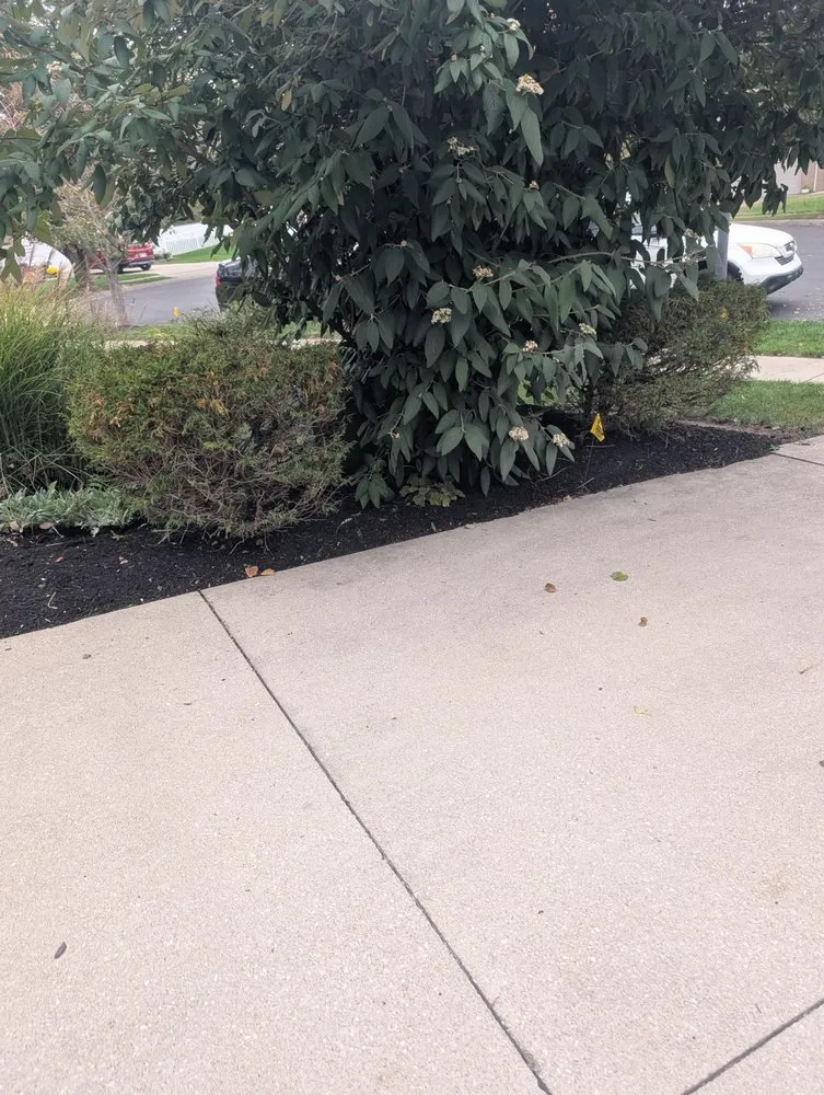 Expert lawn mowing service experts serving Columbus, IN - Browder Landscaping & Tree Services