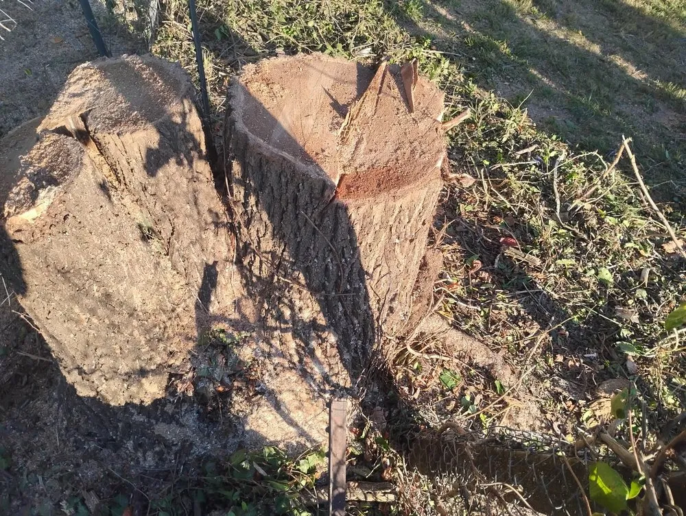 Expert landscape design in Columbus, IN by Browder Landscaping & Tree Services