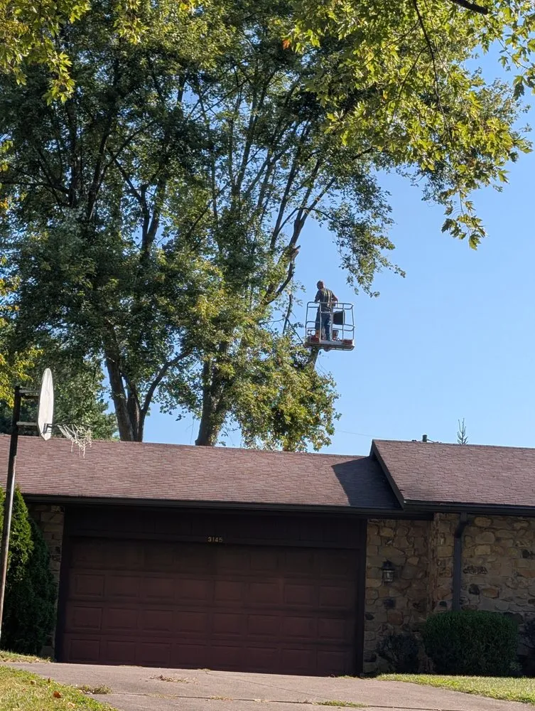 Affordable yard maintenance in Columbus, IN - Browder Landscaping & Tree Services