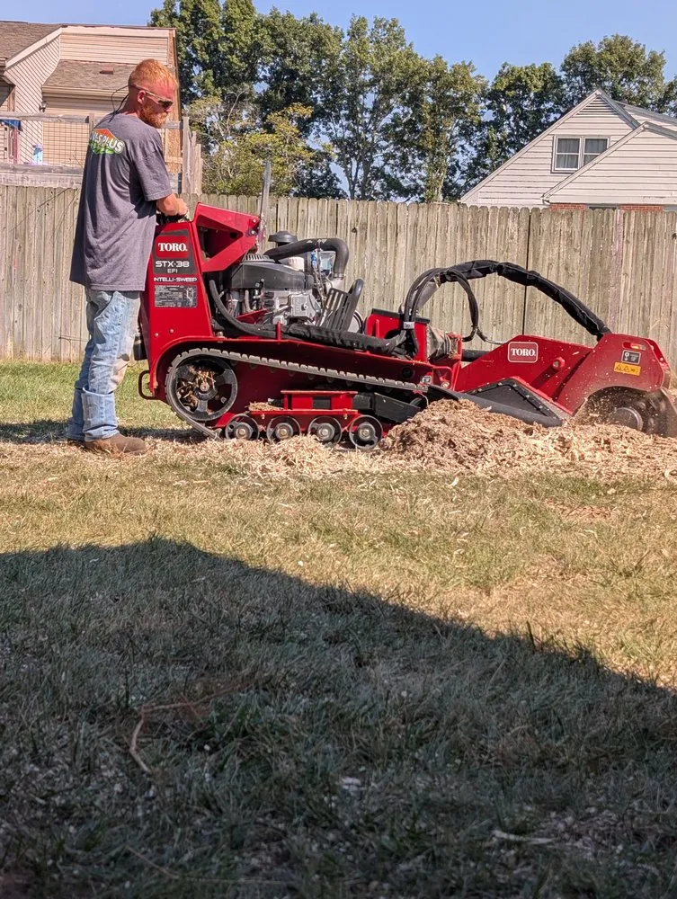 Professional yard cleanup service in Columbus, IN - Browder Landscaping & Tree Services