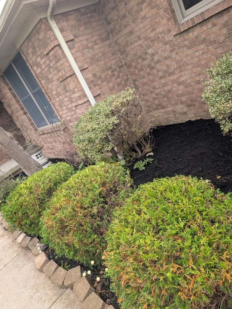 Expert yard maintenance for residential properties in Columbus, IN by Browder Landscaping & Tree Services