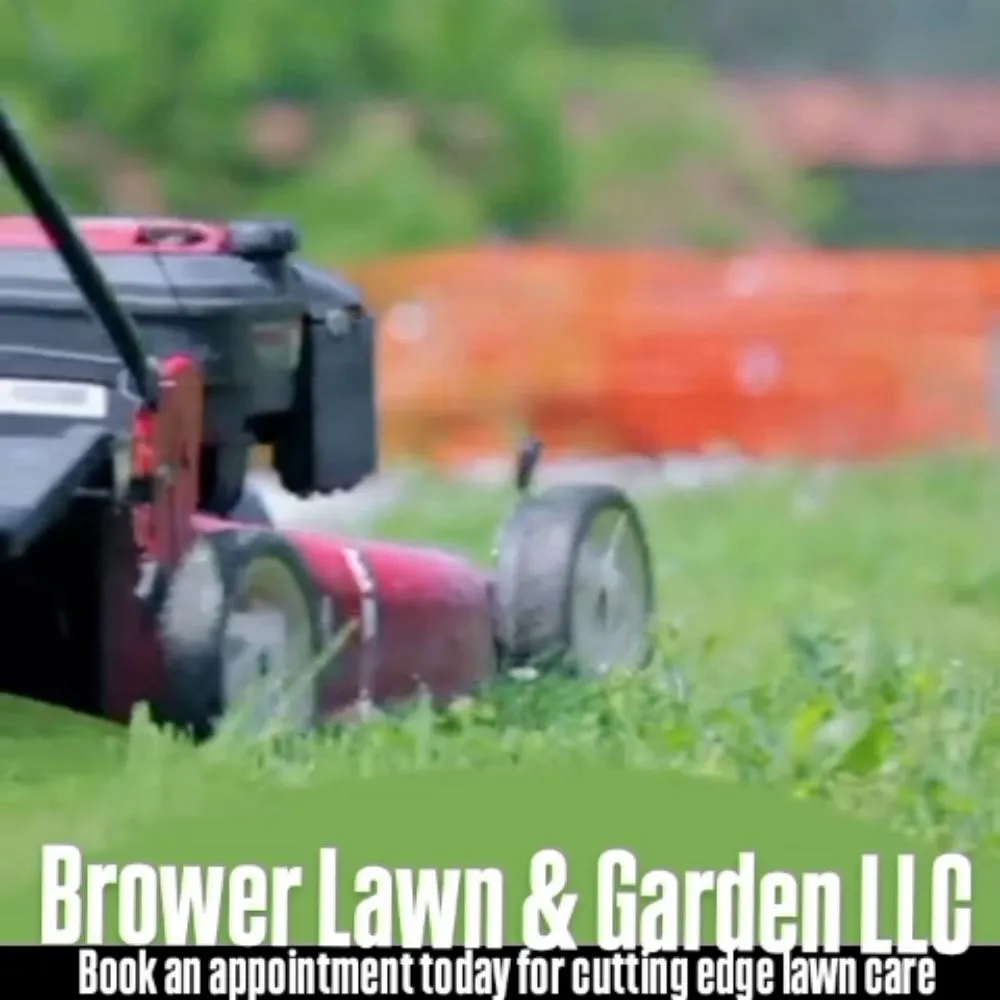 Top-rated yard cleanup service in Oil City, PA by Brower Lawn And Garden
