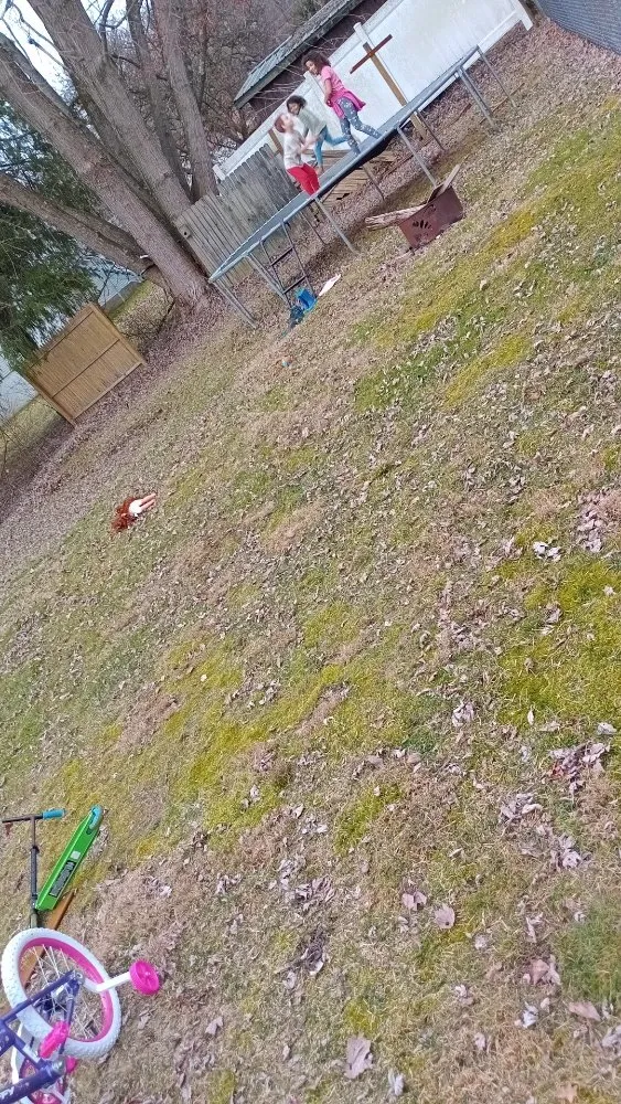 Custom yard maintenance experts serving Oil City, PA - Brower Lawn And Garden