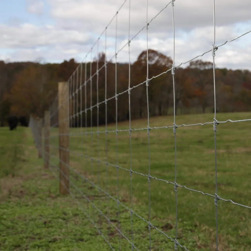 Local lawn mowing service in Butler, KY by Brown And Bowling Land Cleaning
