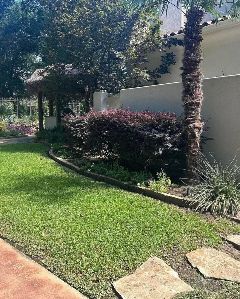 Expert lawn care service for year-round maintenance in Lindale, TX by Brown Brothers Landscape Services