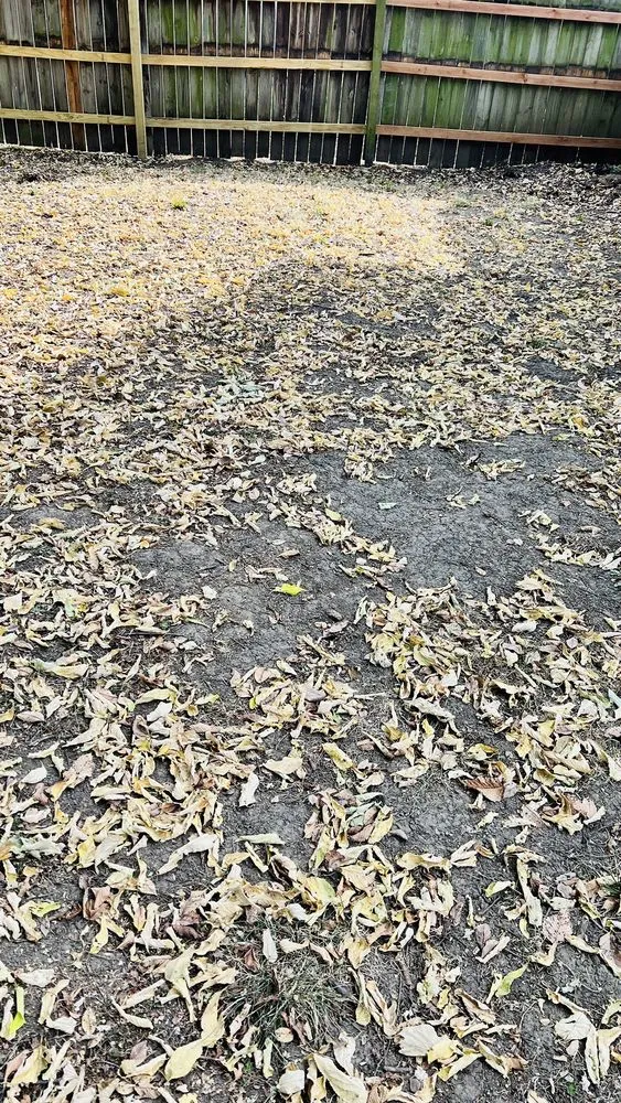 Affordable residential landscaping with custom design in Olathe, KS by Brown Brothers' Lawn Care