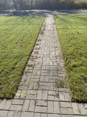 Brown-Davis Lawncare & Snow Removal Logo