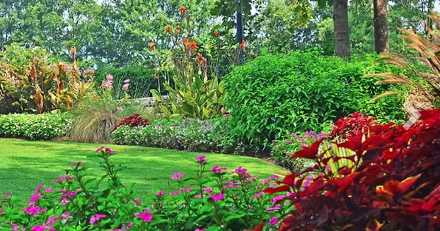 Reliable landscaping services for outdoor upgrades across Wauconda, IL - Brown Enterprises