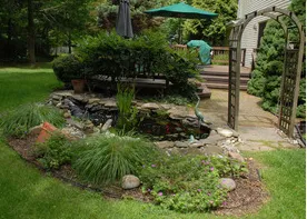 Professional yard cleanup service experts serving Wauconda, IL - Brown Enterprises