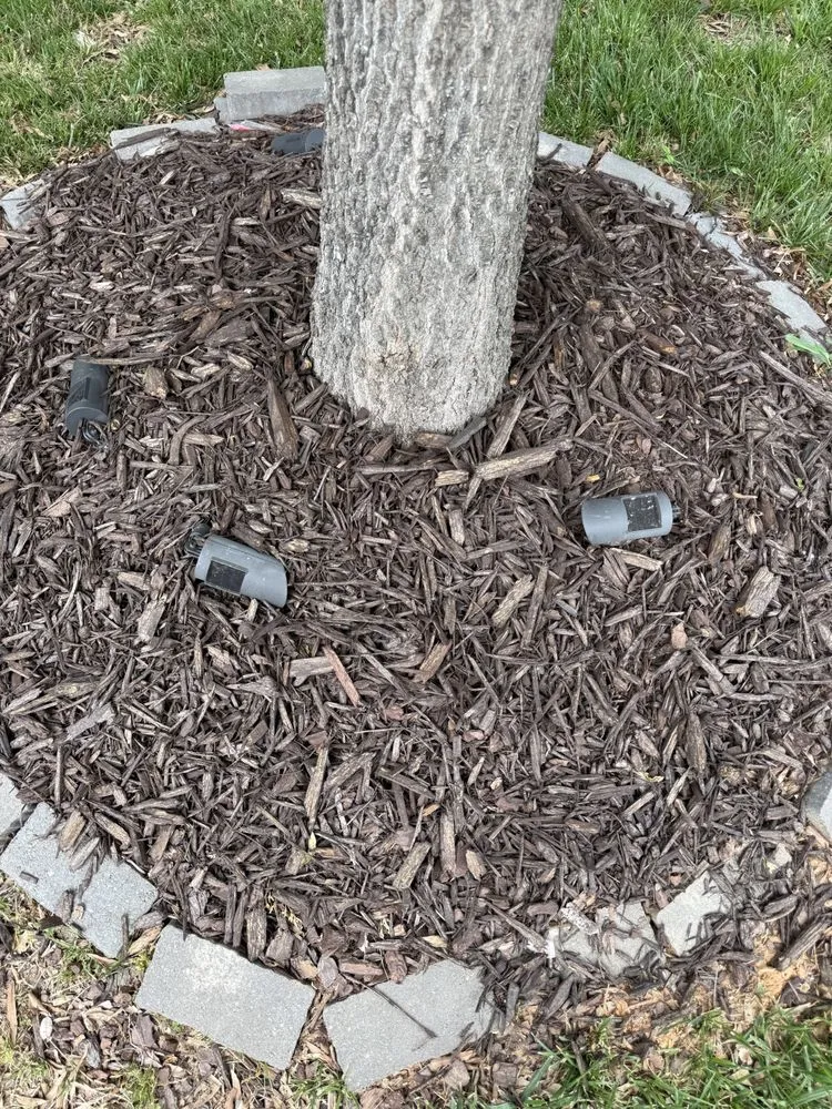 Affordable yard cleanup service with custom design in Charlotte, NC by Brown Landscaping