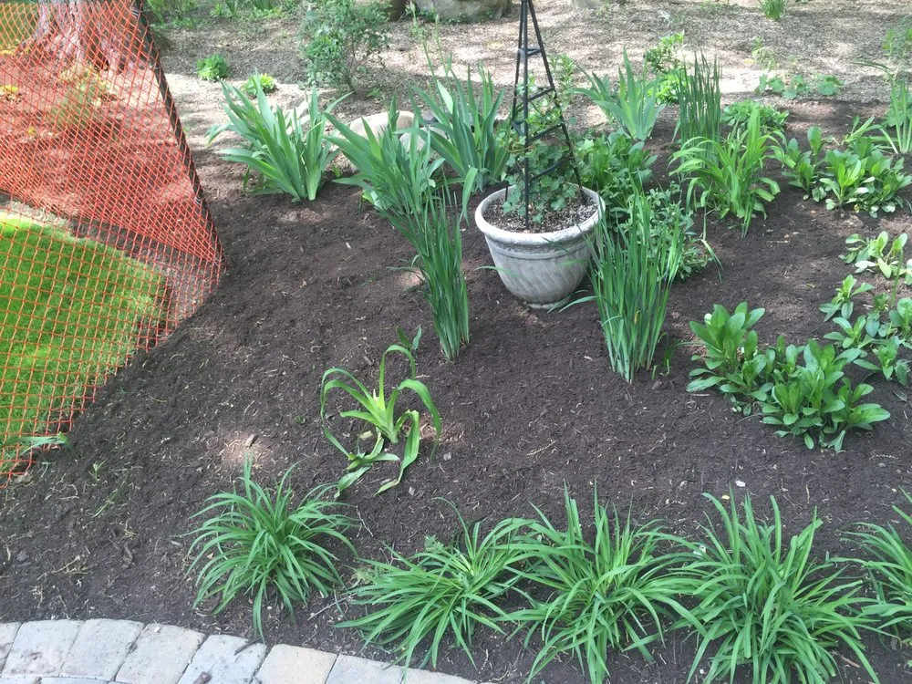 Professional lawn care service experts serving Richmond Hts, OH - Brown Landscaping