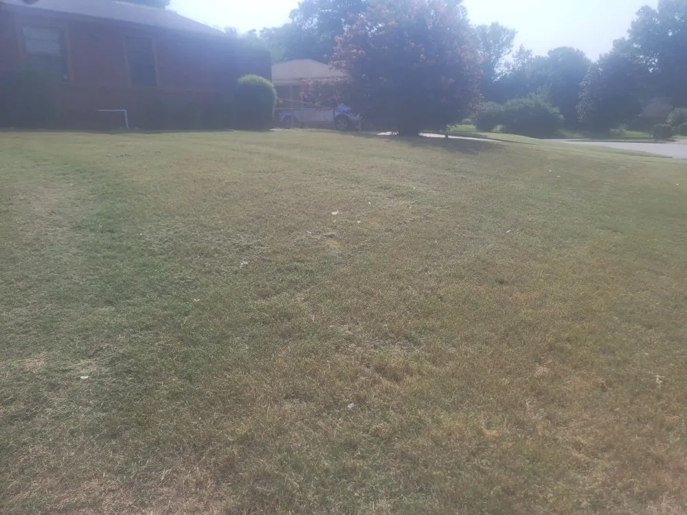 Reliable yard cleanup service with custom design across Horn Lake, MS - brown lawn care services