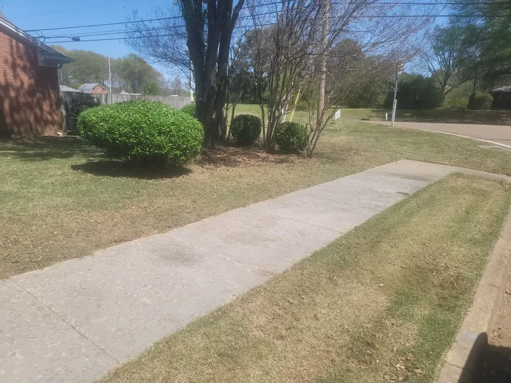 Expert garden landscaping near you across Horn Lake, MS - brown lawn care services