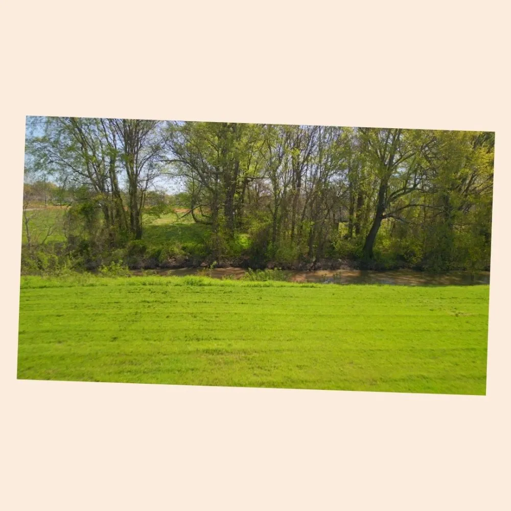 Custom residential landscaping near you in Horn Lake, MS by brown lawn care services