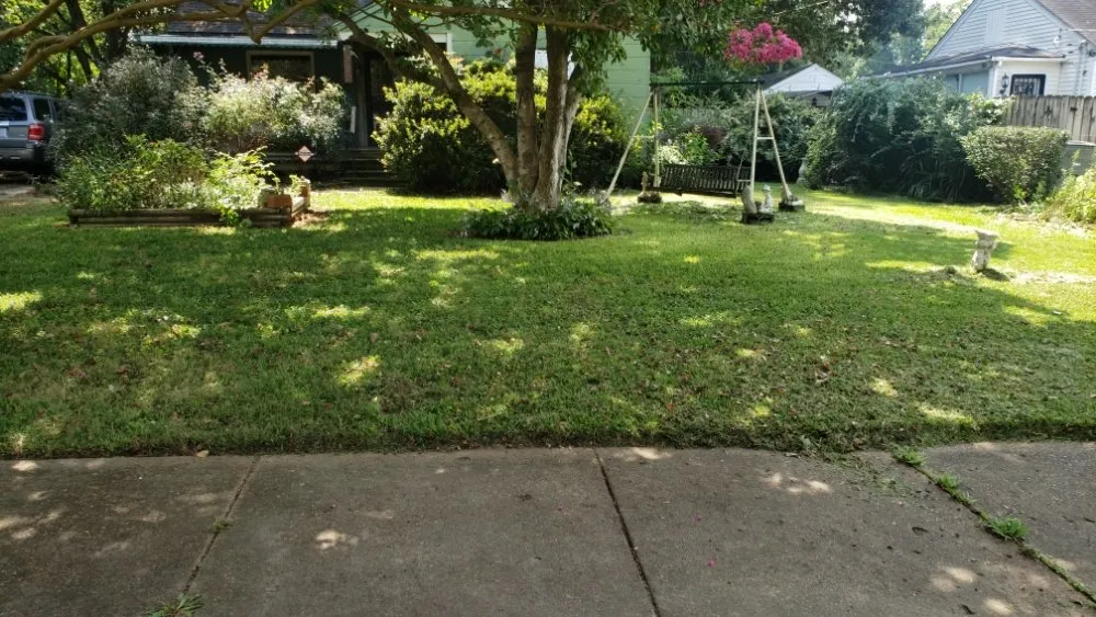 Reliable landscape design for homes across Horn Lake, MS - brown lawn care services